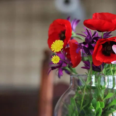 Feriehus Casa Micuccio *